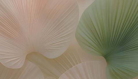 soft beige leaves with intricate lines 2 textured elements artistic design 2 foliage